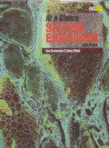 At a Glance Sistem Endokrin = The Endocrine System at a Glance