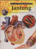 Melihat dengan Mikroskop : Jantung