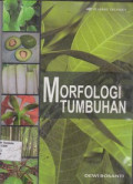 Morfologi Tumbuhan